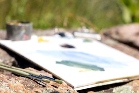 Artist-in-Residence - Summer 2017