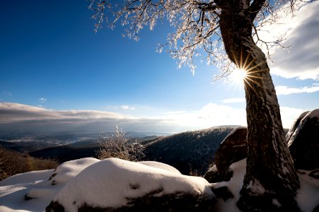 Sunstar on Snow photo