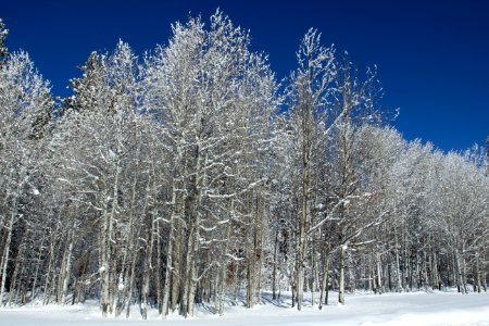 Black Butte Ranch, Oregon - Free photos on creazilla.com