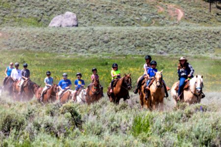 Horseback riding near Tower Junction