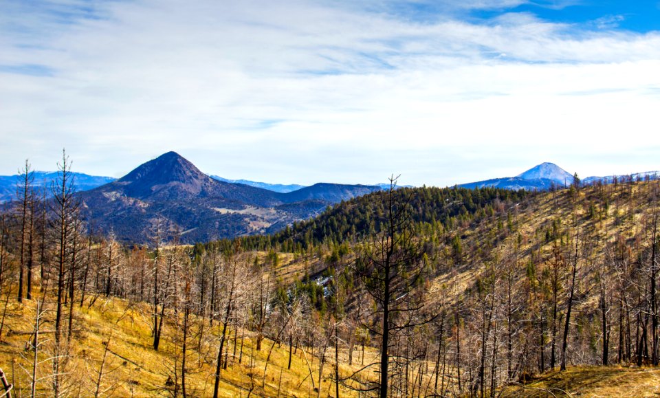 Black Butte and White Butte, Oregon