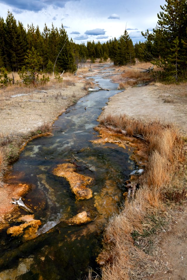 Imperial Geyser pool outflow channel