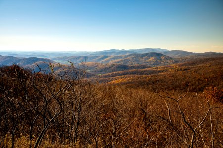 Burnished Colors of Late Fall