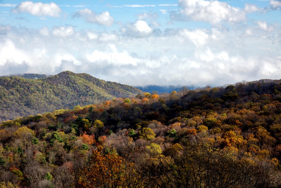 Muted Late Fall Colors at Thornton Hollow photo