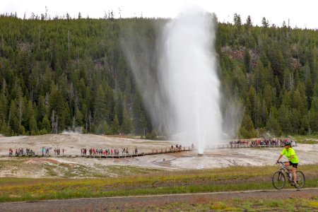 Beehive Geyser