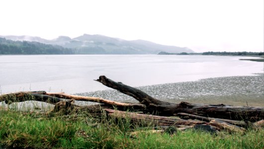 Nehalem Bay Oregon photo