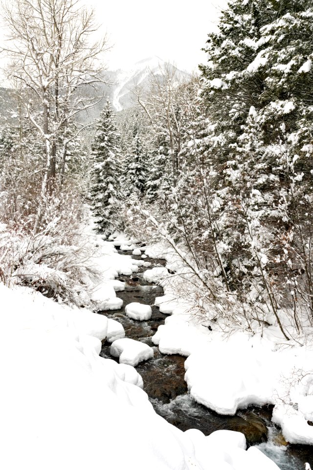 Emigrant Creek and Emigrant Peak in winter