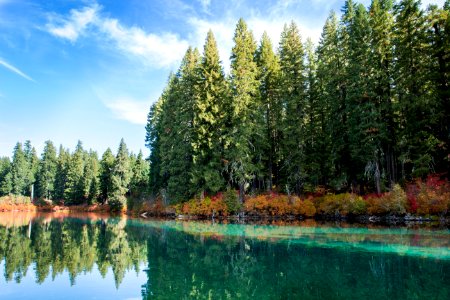 Fall color Clear Lake, Oregon (Linn County) photo