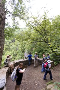 Lewis Falls Viewing Platform