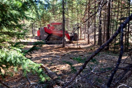 Grant fuels project: masticator in action (2)