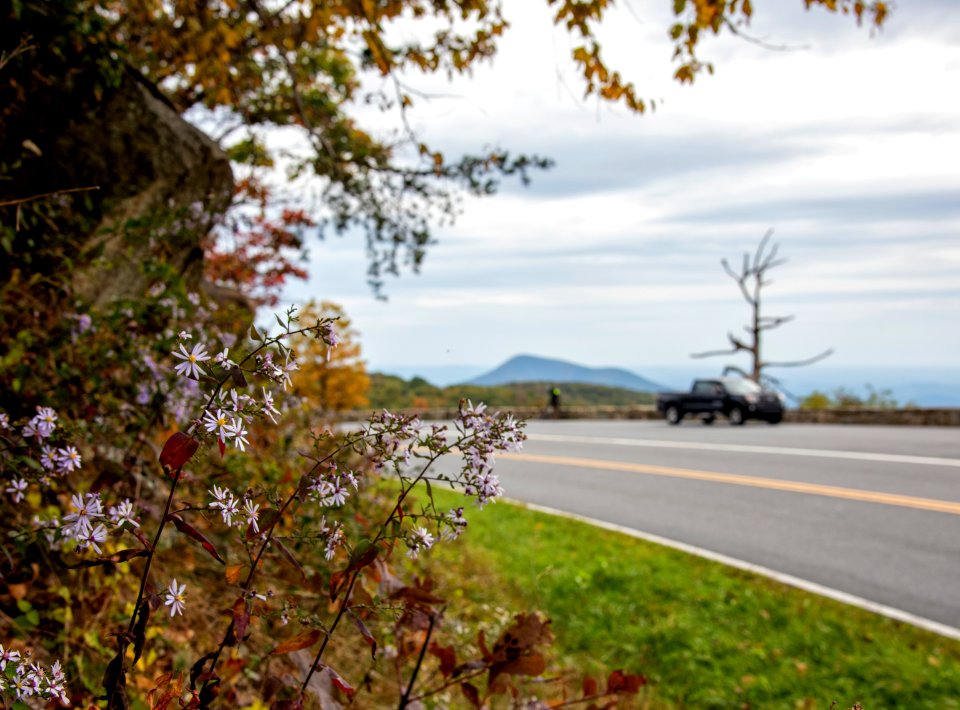 Across the Drive at Little Devils Stairs Overlook