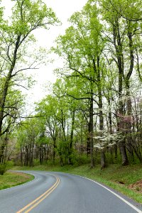 Early spring in the north districe