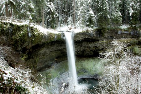 Silver Falls State Park, Oregon photo