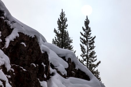 Sun perched atop a tree in Firehole Canyon photo