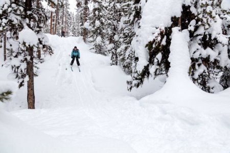 Cross-country skiing the Roller Coaster Trail - Compression Hill (2)