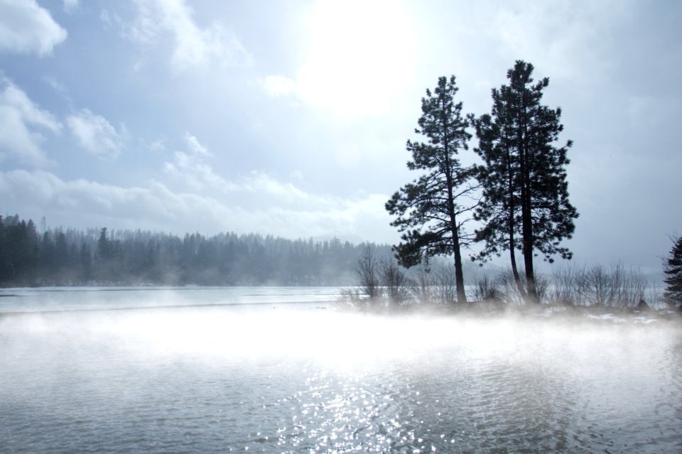 Trees and fog around mountain lake, Oregon