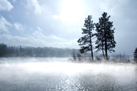Trees and fog around mountain lake, Oregon