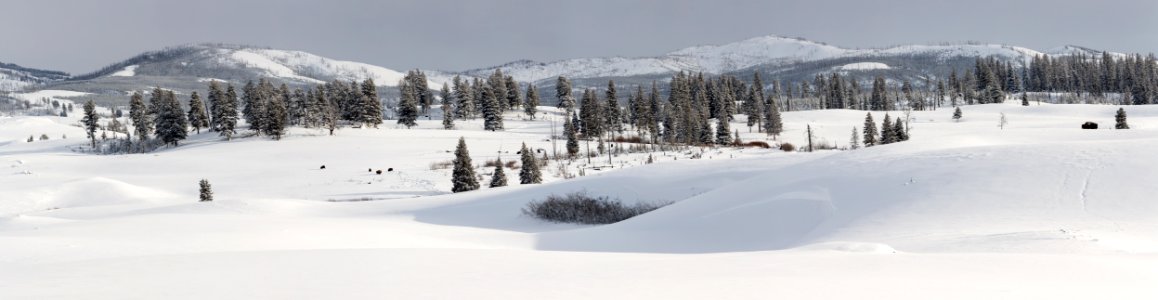 Winter panorama, Blacktail Deer Plateau