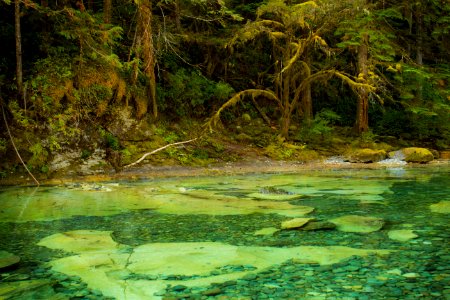 Three Pools in the Opal Creek Wilderness area, Oregon photo