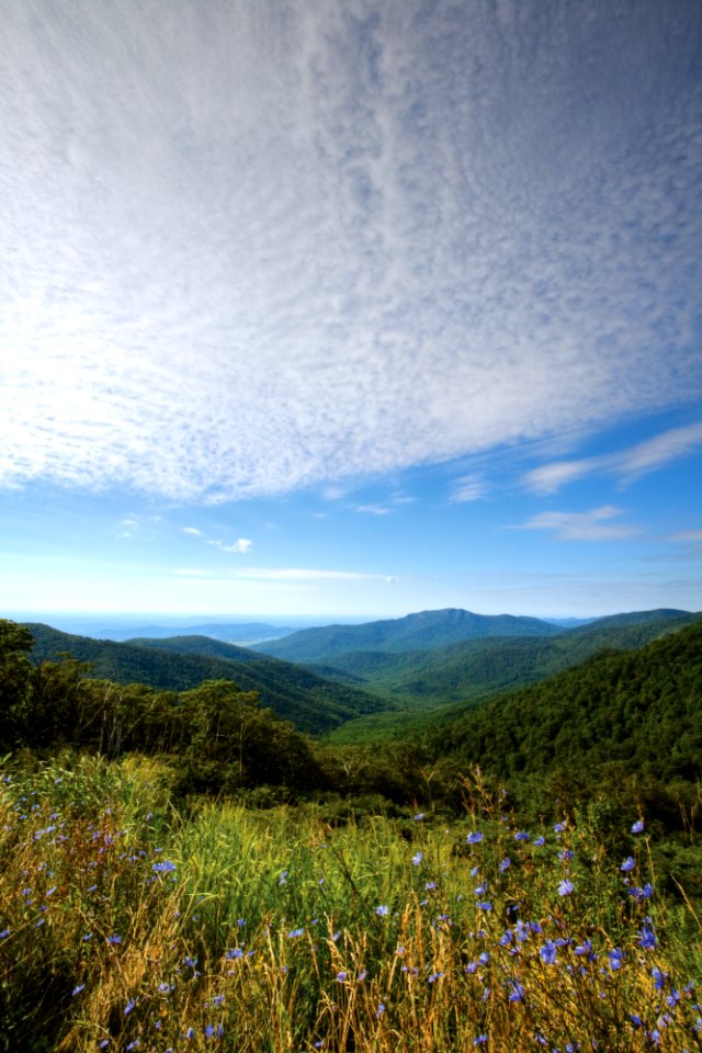 Old Rag Mountain from Pinnacles Overlook