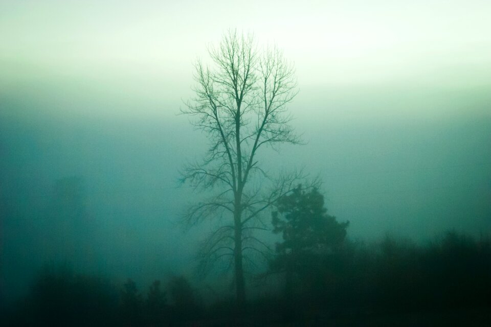 Nature fog haze photo