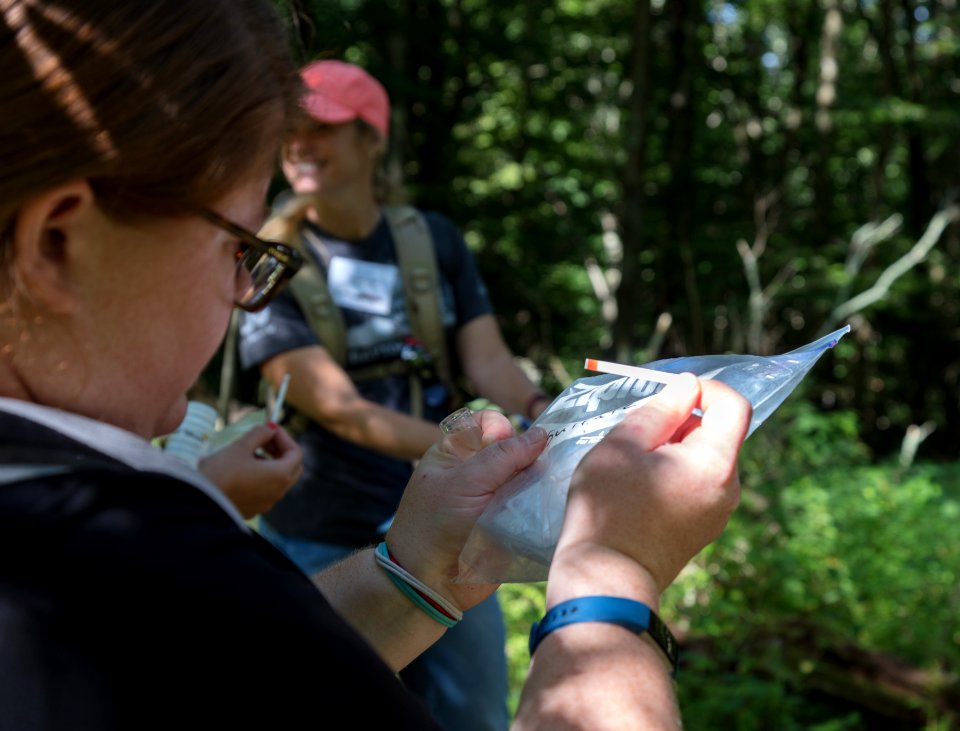 Water Quality Testing Activity
