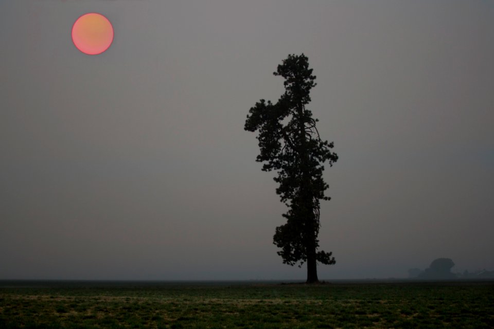 Smoke from the Oregon wildfires turns the sun red.