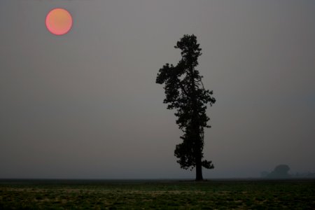 Smoke from the Oregon wildfires turns the sun red. photo