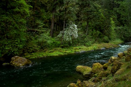 Molalla River, Oregon photo