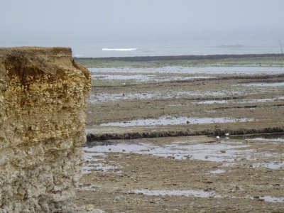 Marée basse à Chassiron
