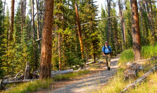 Walking the Grand View P Loop Trial between Canyon Village and the rim