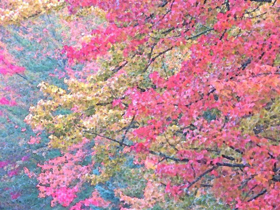 NEW HAMPSHIRE - FALL COLOR IN THE RAIN (10-1-2018) - PHOTOSHOP WATERCOLOR FILTER (10)