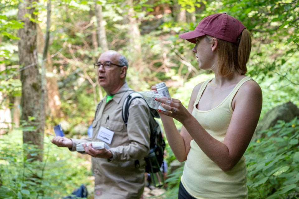 Water Quality Testing Activity