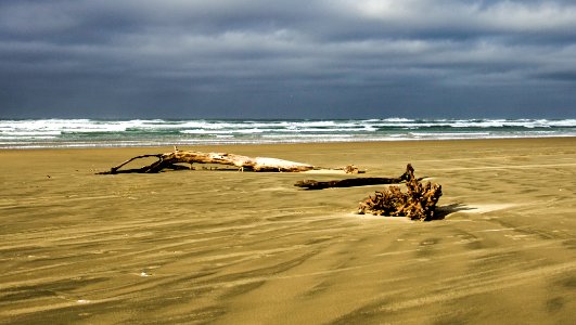 Governor Patterson State Park, Oregon photo