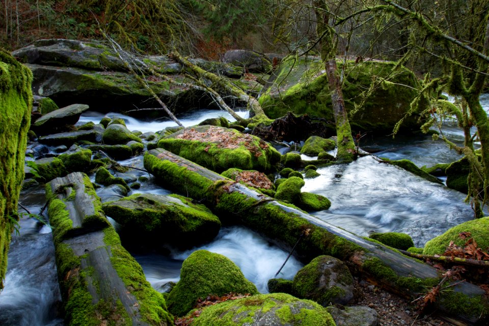 Lake Creek, Oregon