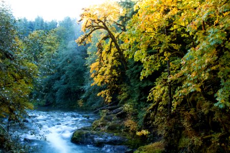 Santiam River in the Willamette National Forest, Oregon photo