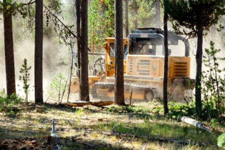 2019 West Fuels Treatment Project: masticator in action (3)
