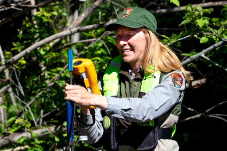 Park hydrologist, Erin White, taking high-precision water velocity measurements in Reese Creek (4)
