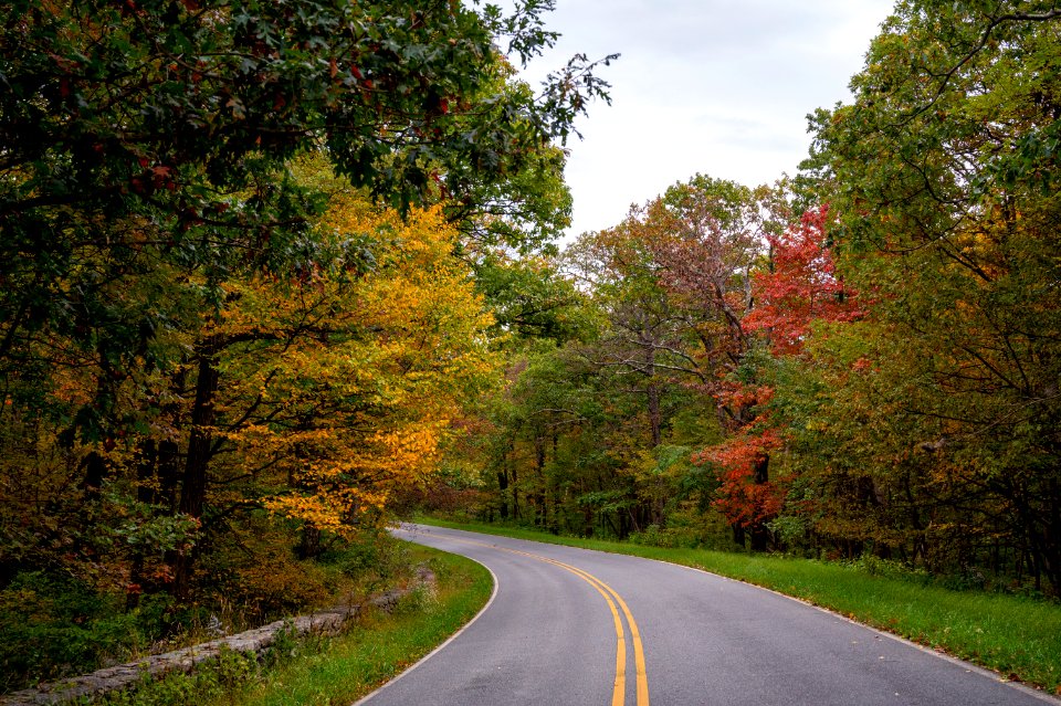 Colors Along the Drive