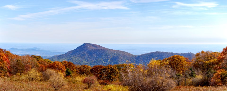 Panoramic - Old Rag Mountain