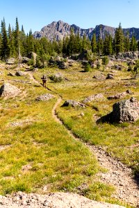 Hikers on the Wolverine Creek Trail near Wolverine Pass (portrait)