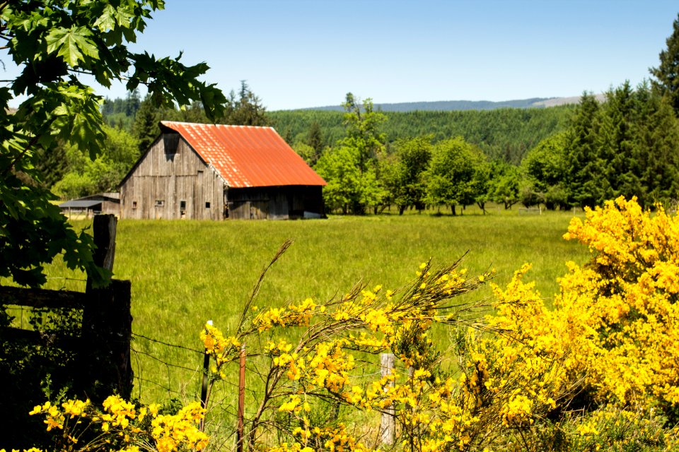 Old barn, Oregon