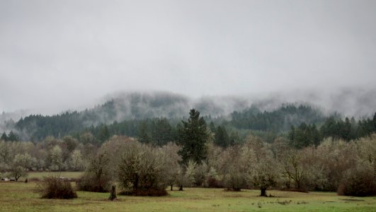 Coast Range in the winter, Oregon photo