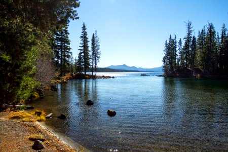 North Shore, Waldo Lake, Oregon photo