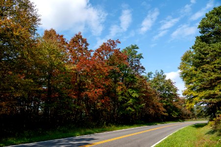 Fall Color on the Drive photo