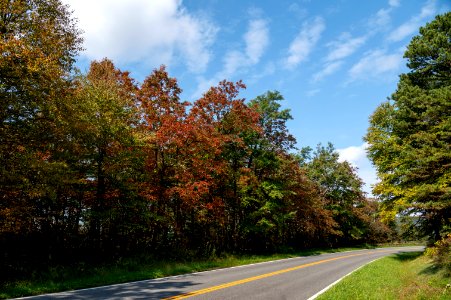 Fall Color on the Drive