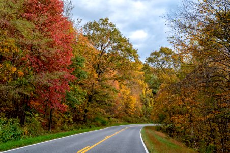 North District Along Skyline Drive