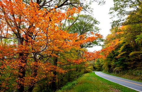 Vibrant Colors Along Skyline Drive photo