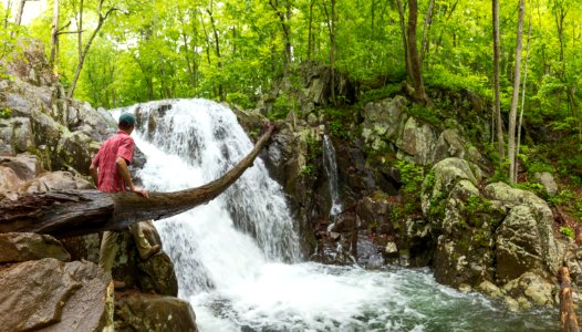 Rose River Falls
