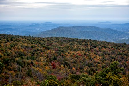 Fall Color on Mountain Ridges photo